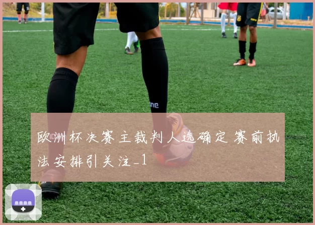 欧洲杯决赛主裁判人选确定 赛前执法安排引关注_1