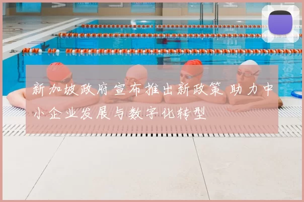 新加坡政府宣布推出新政策 助力中小企业发展与数字化转型