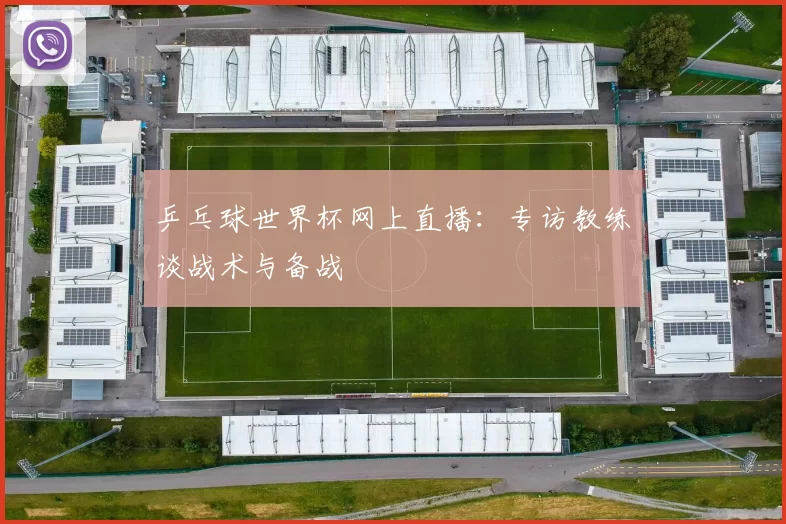 乒乓球世界杯网上直播:专访教练谈战术与备战
