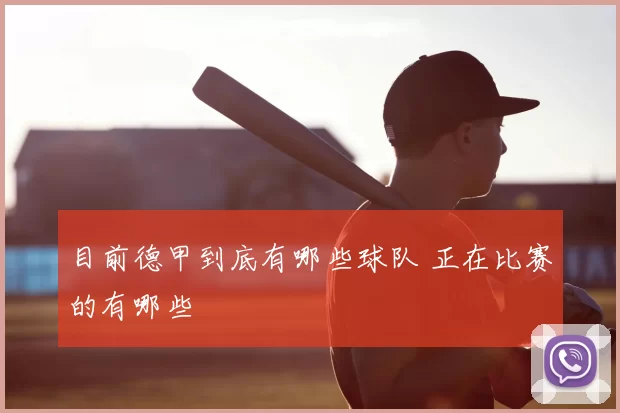 目前德甲到底有哪些球队 正在比赛的有哪些