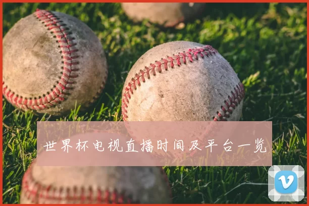 世界杯电视直播时间及平台一览