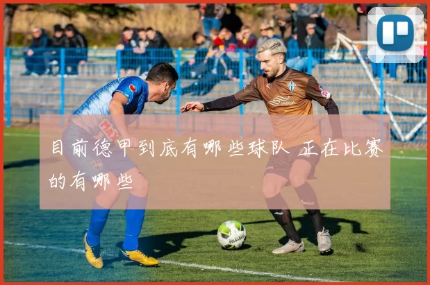 目前德甲到底有哪些球队 正在比赛的有哪些