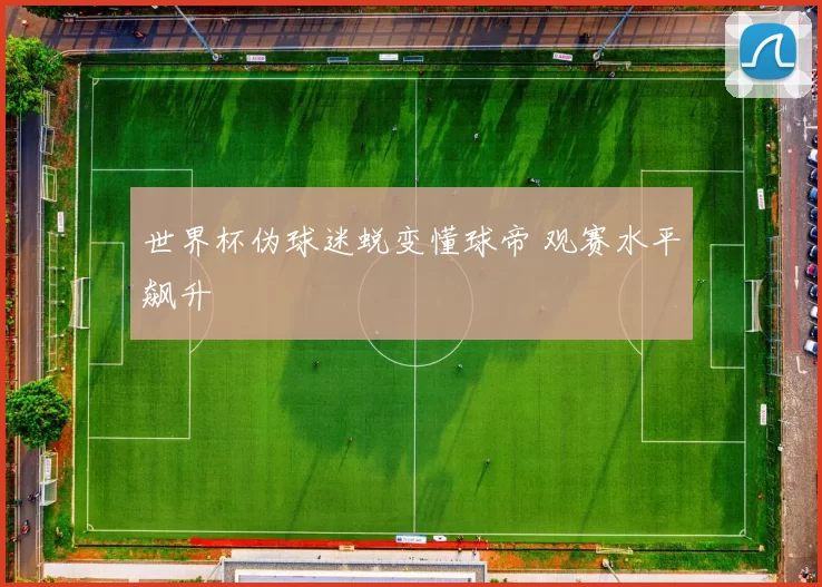 世界杯伪球迷蜕变懂球帝 观赛水平飙升