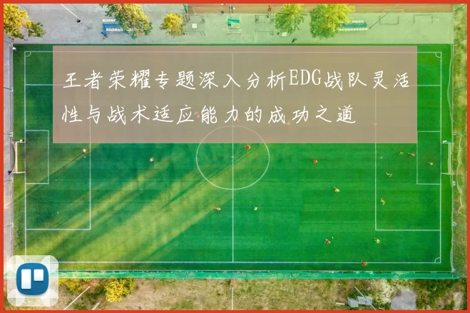 王者荣耀专题深入分析EDG战队灵活性与战术适应能力的成功之道
