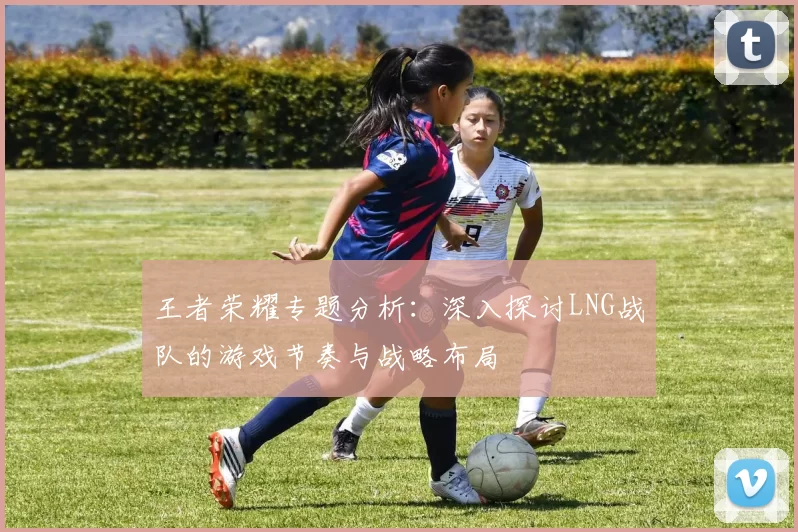 王者荣耀专题分析:深入探讨LNG战队的游戏节奏与战略布局