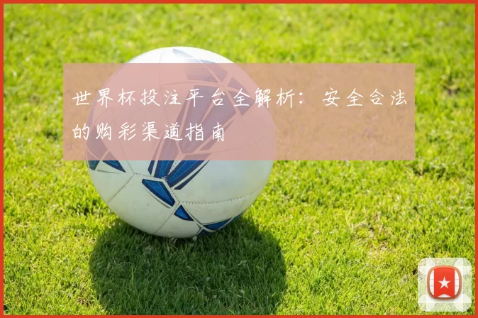 世界杯投注平台全解析：安全合法的购彩渠道指南