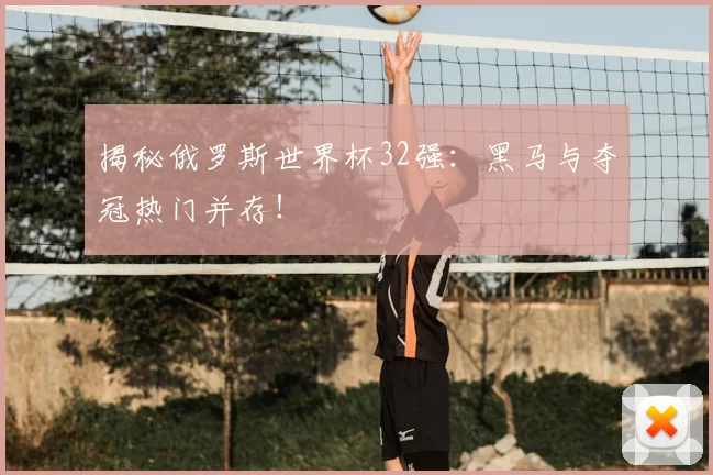 揭秘俄罗斯世界杯32强:黑马与夺冠热门并存!