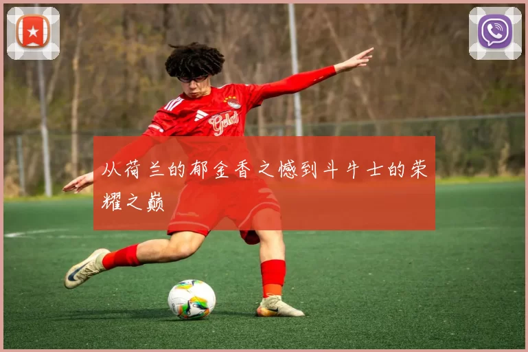 从荷兰的郁金香之憾到斗牛士的荣耀之巅