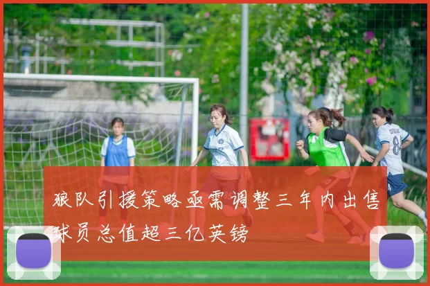 狼队引援策略亟需调整三年内出售球员总值超三亿英镑