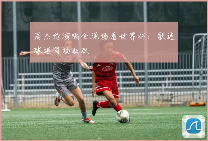 周杰伦演唱会现场看世界杯,歌迷球迷同场狂欢
