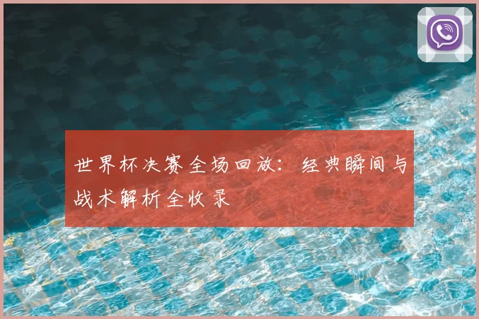 世界杯决赛全场回放：经典瞬间与战术解析全收录