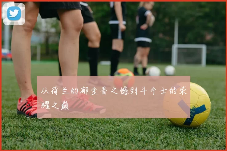从荷兰的郁金香之憾到斗牛士的荣耀之巅