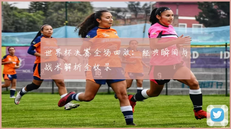 世界杯决赛全场回放:经典瞬间与战术解析全收录